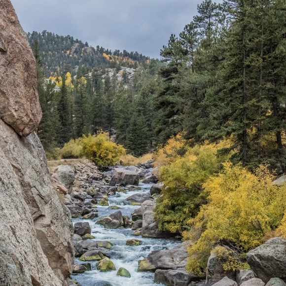 Meet your Posher, Peaches - Picture 1 of 2